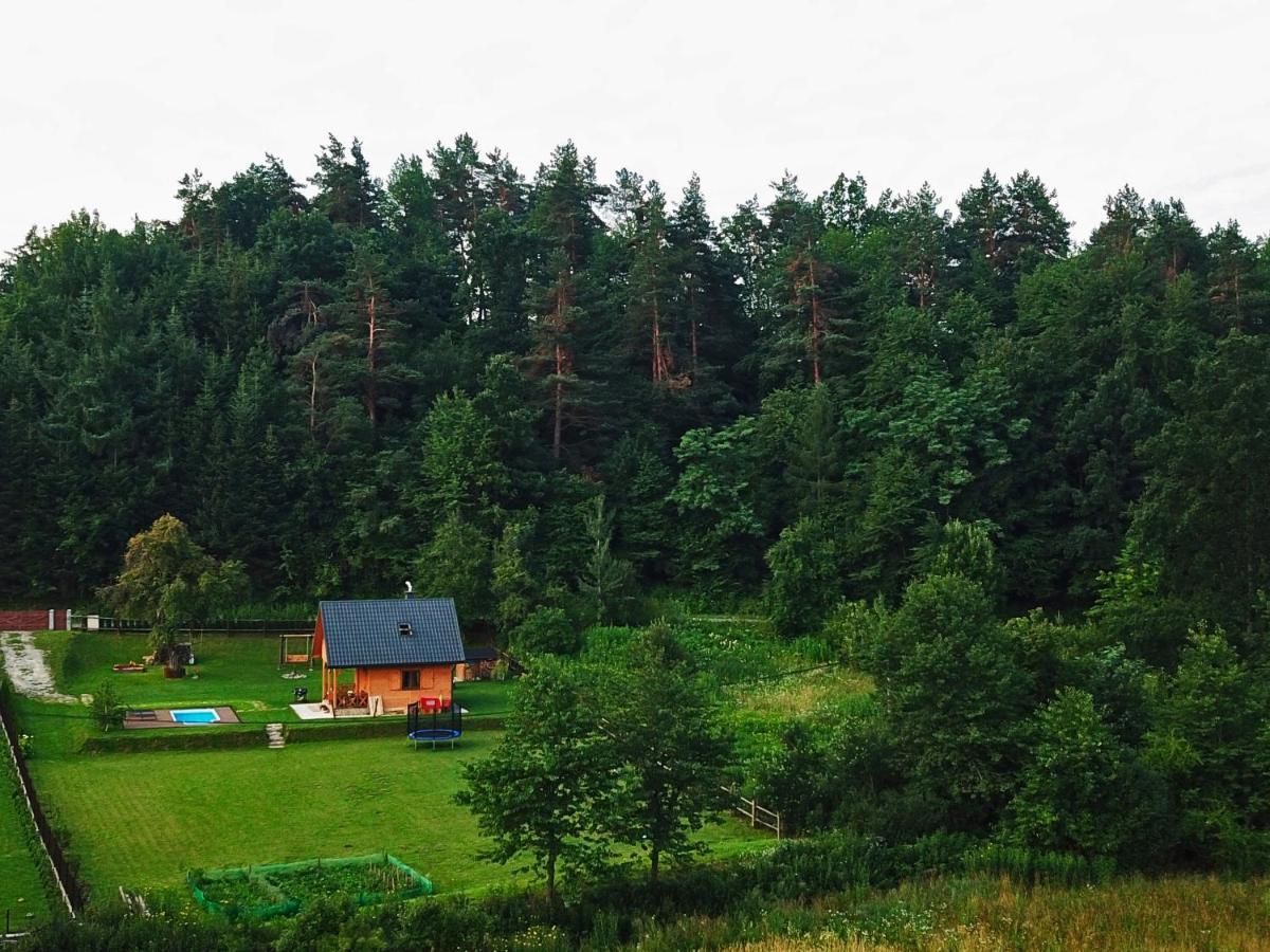 Domek Skowronek Z Basenem Lesko Exterior foto