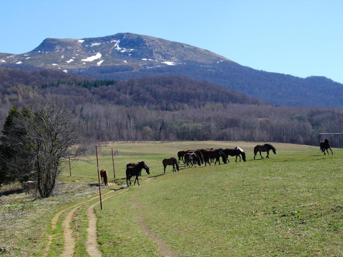 Domek Skowronek Z Basenem Lesko Exterior foto